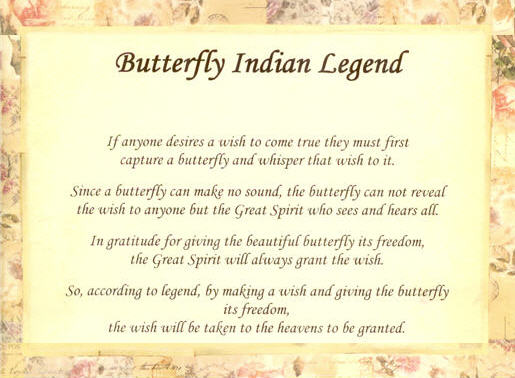 Butterfly Legend Butterfly Legend